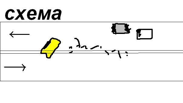 Дтп с оленем схема