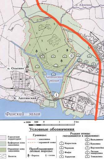 Юнтолово на карте санкт петербурга. План застройки Юнтоловского заказника. Юнтоловский лесопарк схема. Юнтоловский лесопарк план застройки. Юнтоловский заказник застройка.